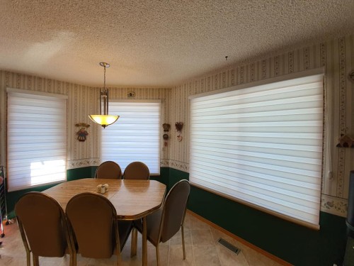 motorized blinds