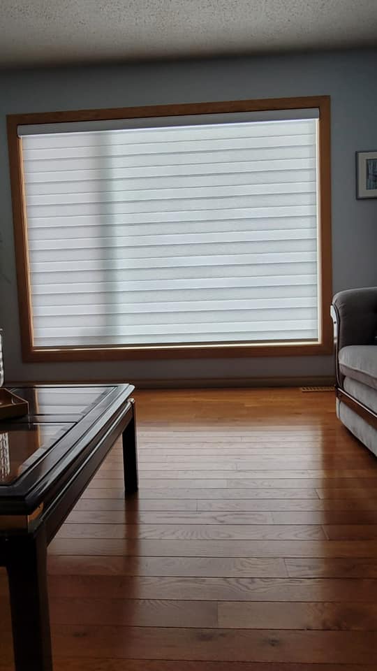 Have You Been Thinking About Motorized Blinds & Window Coverings? Here’s Why You Should Go for It! 5